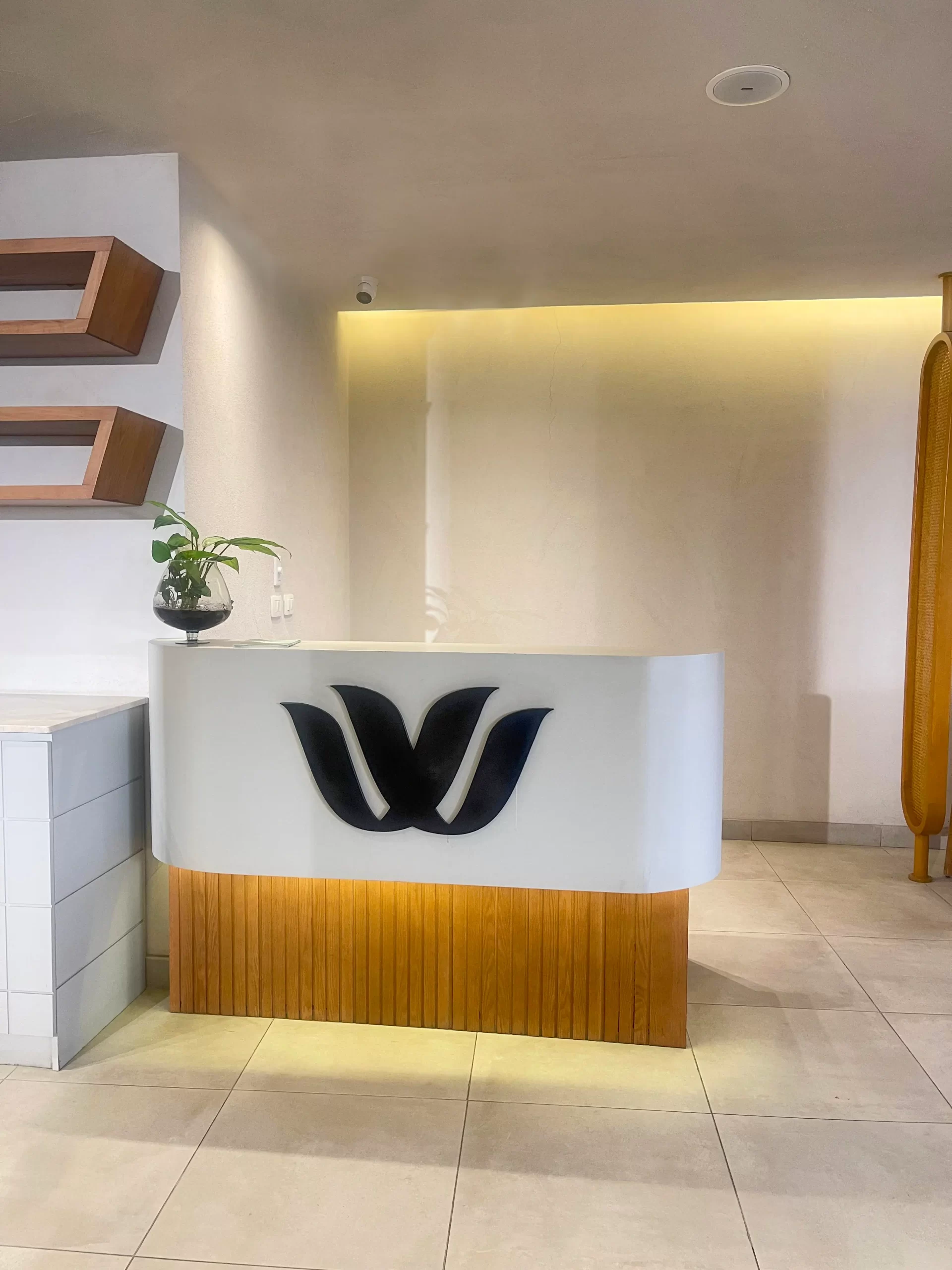 WHAM Clinics smouha 4